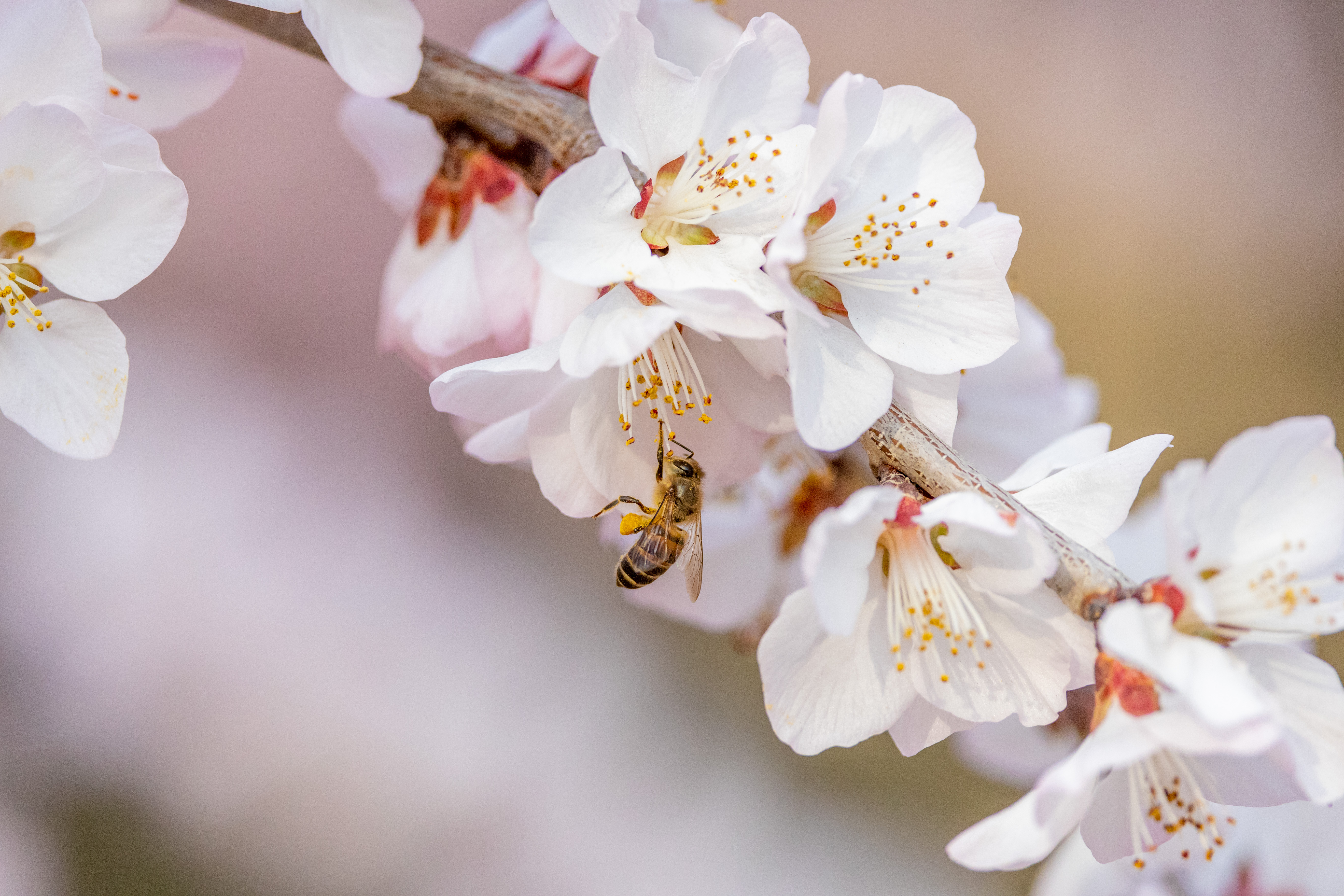 CR6_7674_LR.JPG