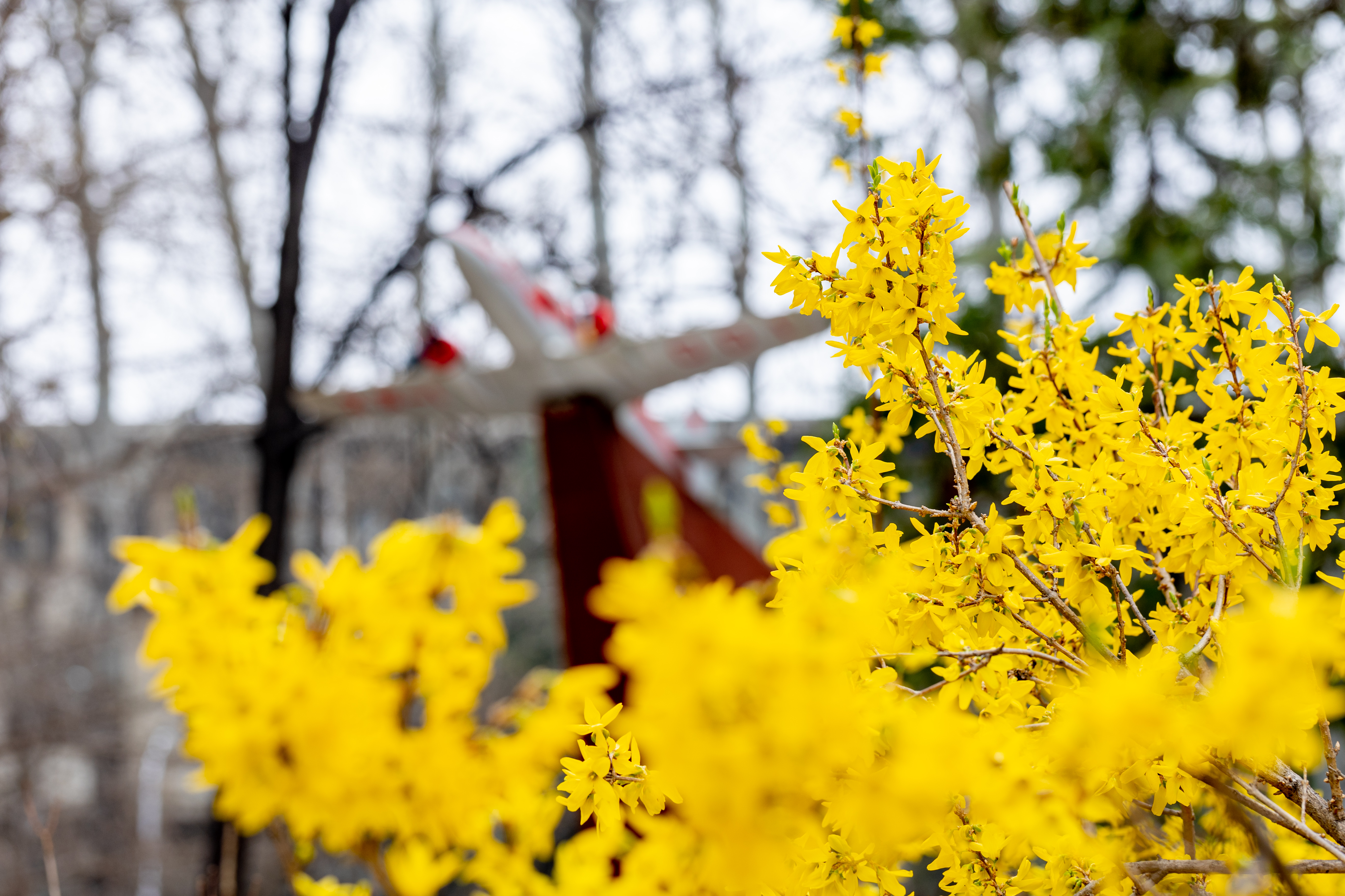 CR6_0274_LR.JPG