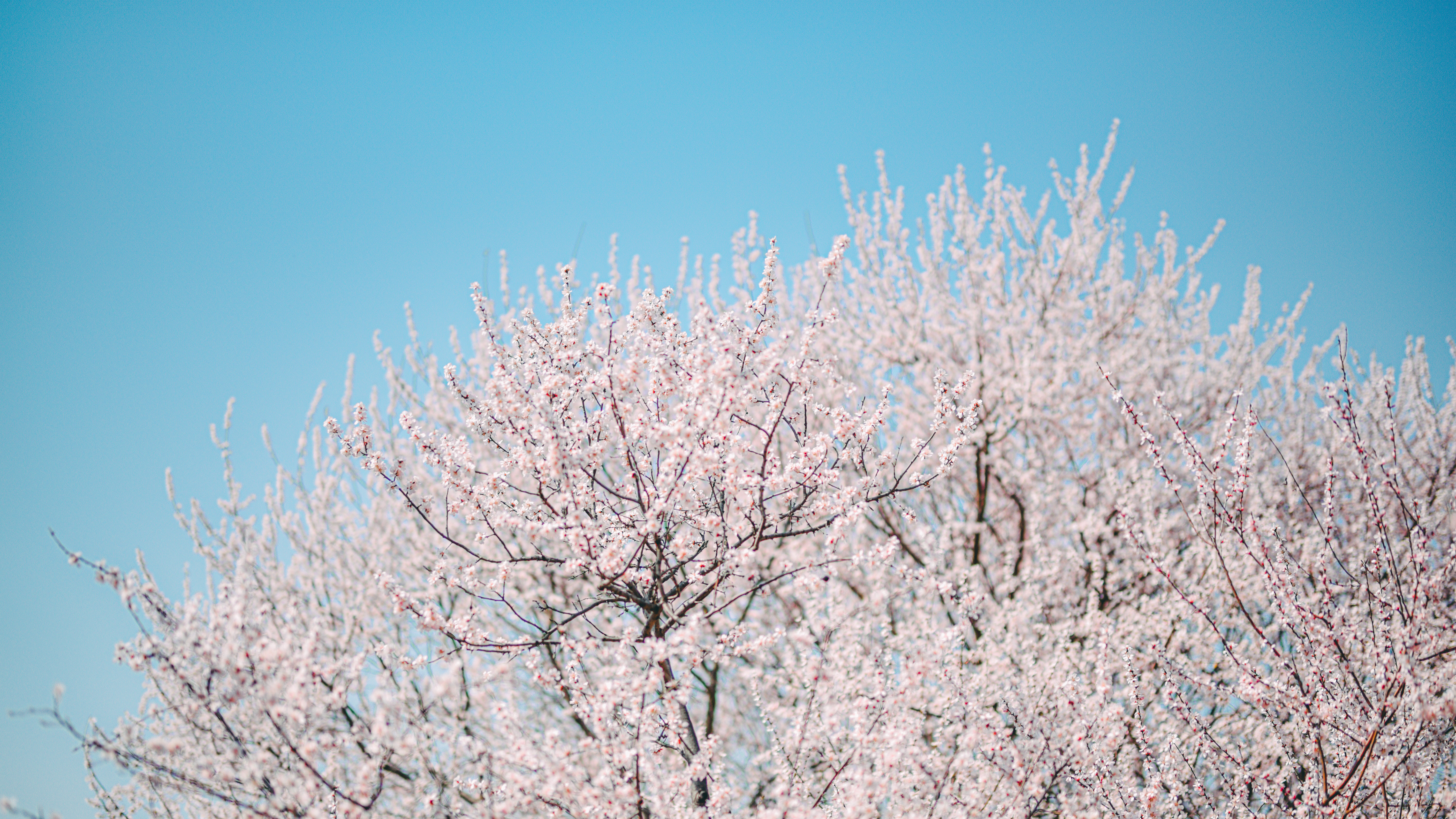 _D750719.jpg