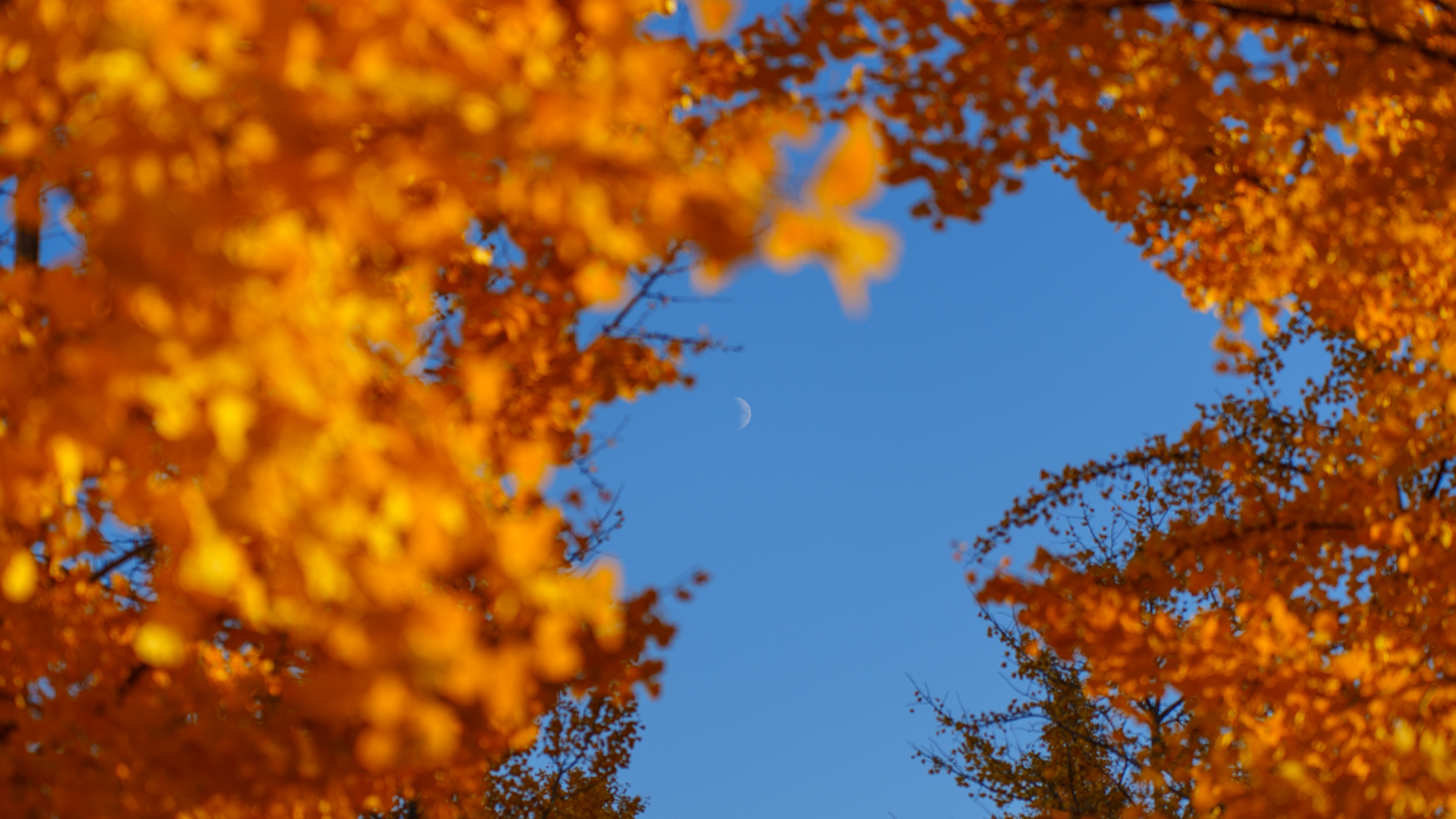 DSC05385.jpg